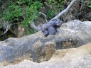 abeltasman (09)